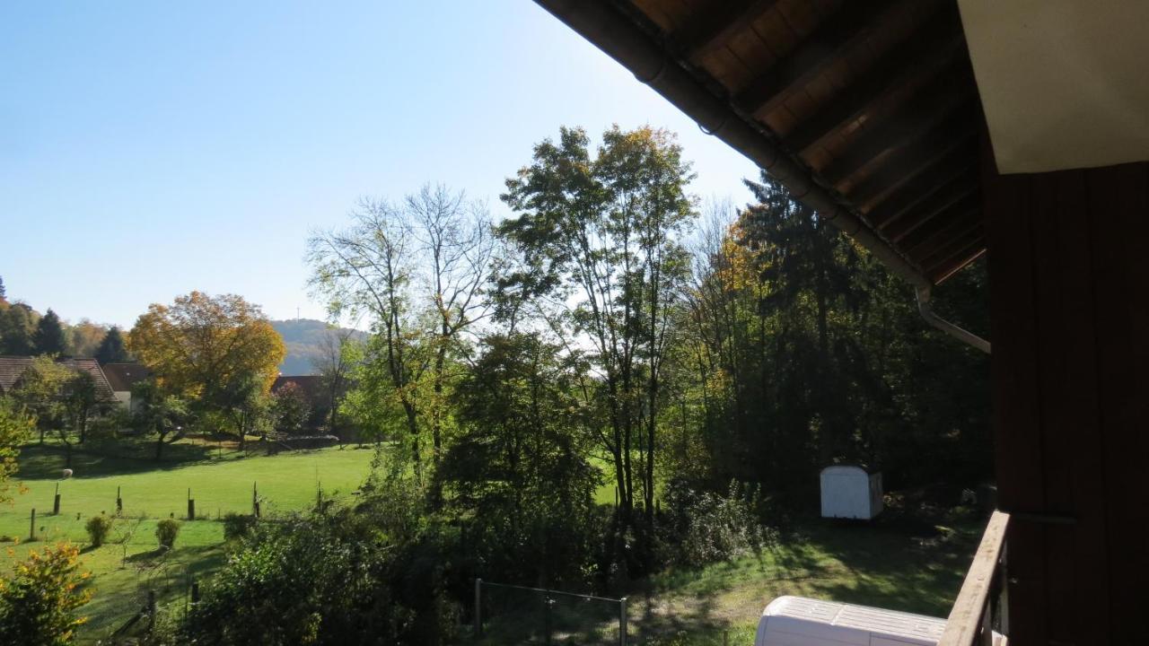 Fewo Mit Balkon Direkt Am Wald Und Wanderweg Ruhe Pur 2 Og Bad Sachsa Exterior foto